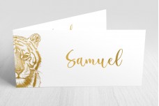 Tijger